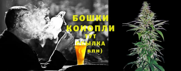 шишки Семикаракорск