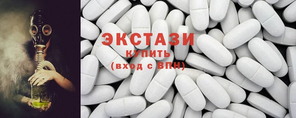 хмурый Магас