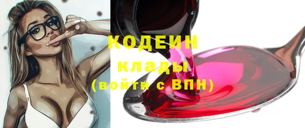 хмурый Магас
