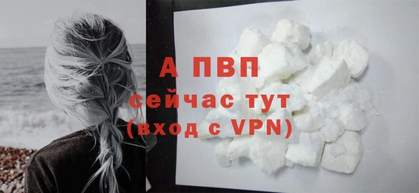 apvp Магадан