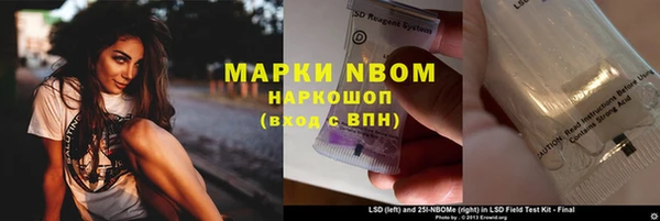 хмурый Магас