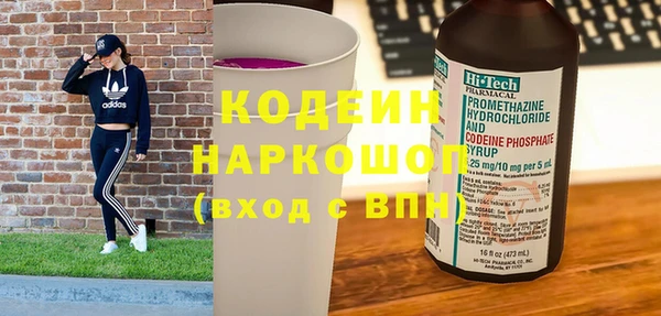 хмурый Магас