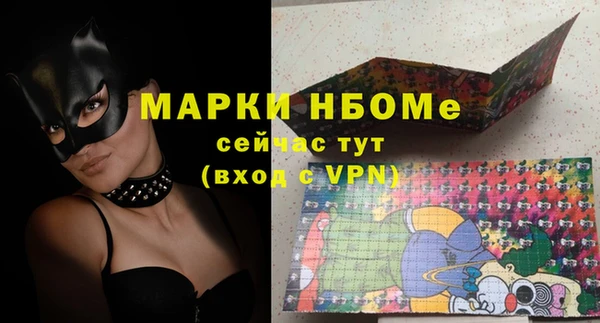 хмурый Магас