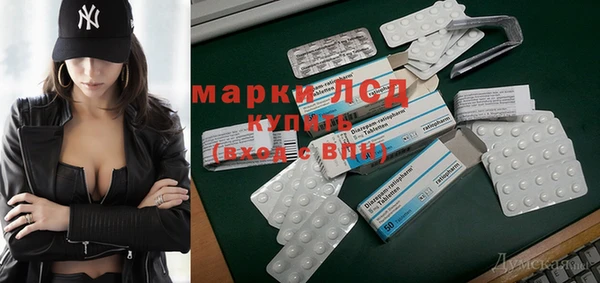 хмурый Магас