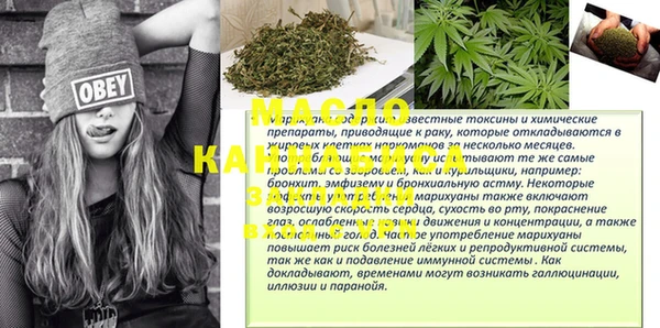 хмурый Магас