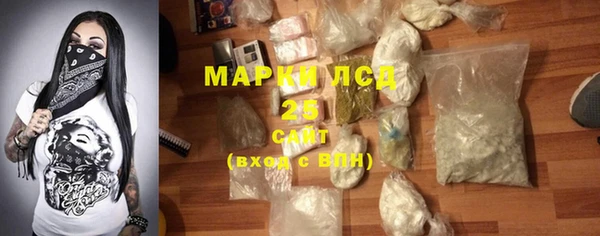 хмурый Магас
