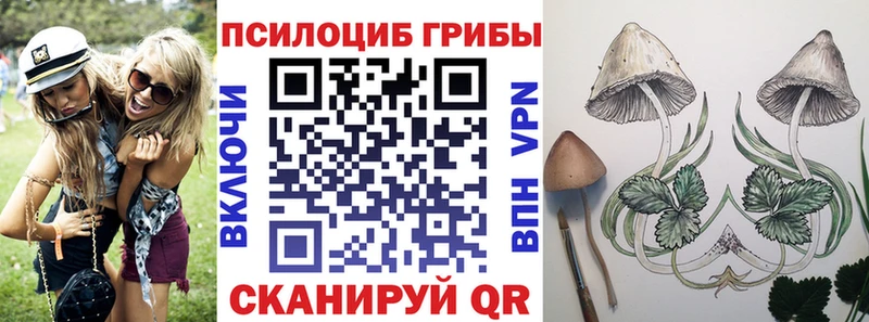 Галлюциногенные грибы ЛСД Сычёвка