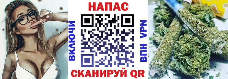 где купить Сычёвка Каннабис OG Kush